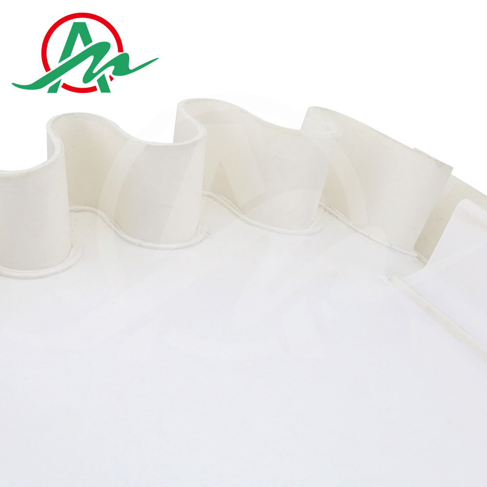 White PVC conveyor belt with baffle and skirt sidewall